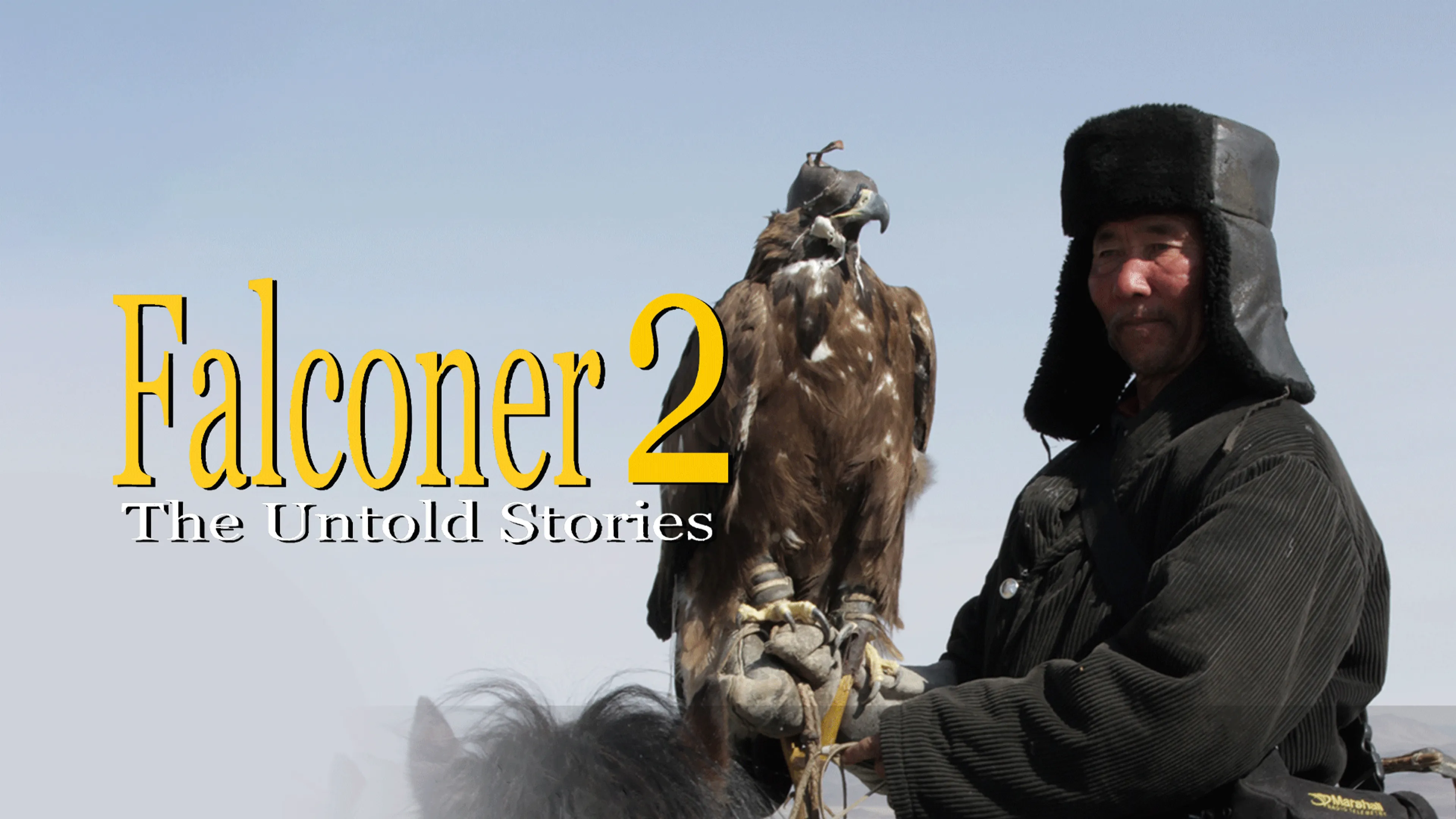 Falconer 2 Untold Stories poster